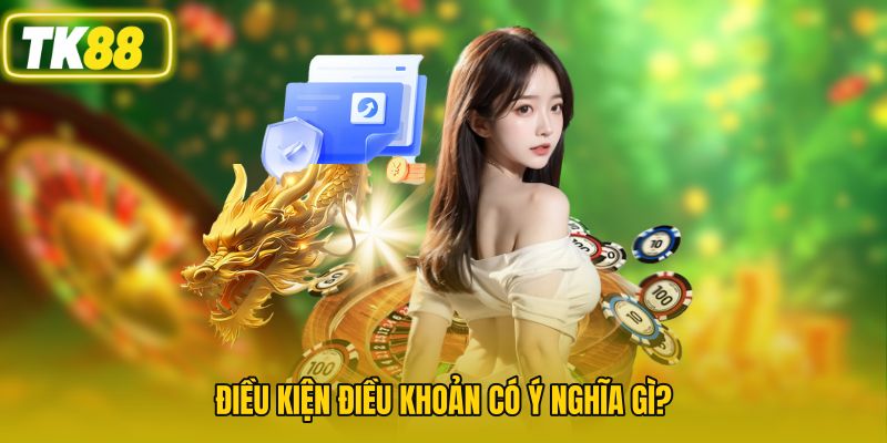 Điều kiện điều khoản có ý nghĩa gì?